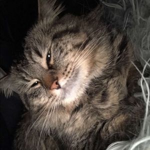 Meet your Posher, Karlie